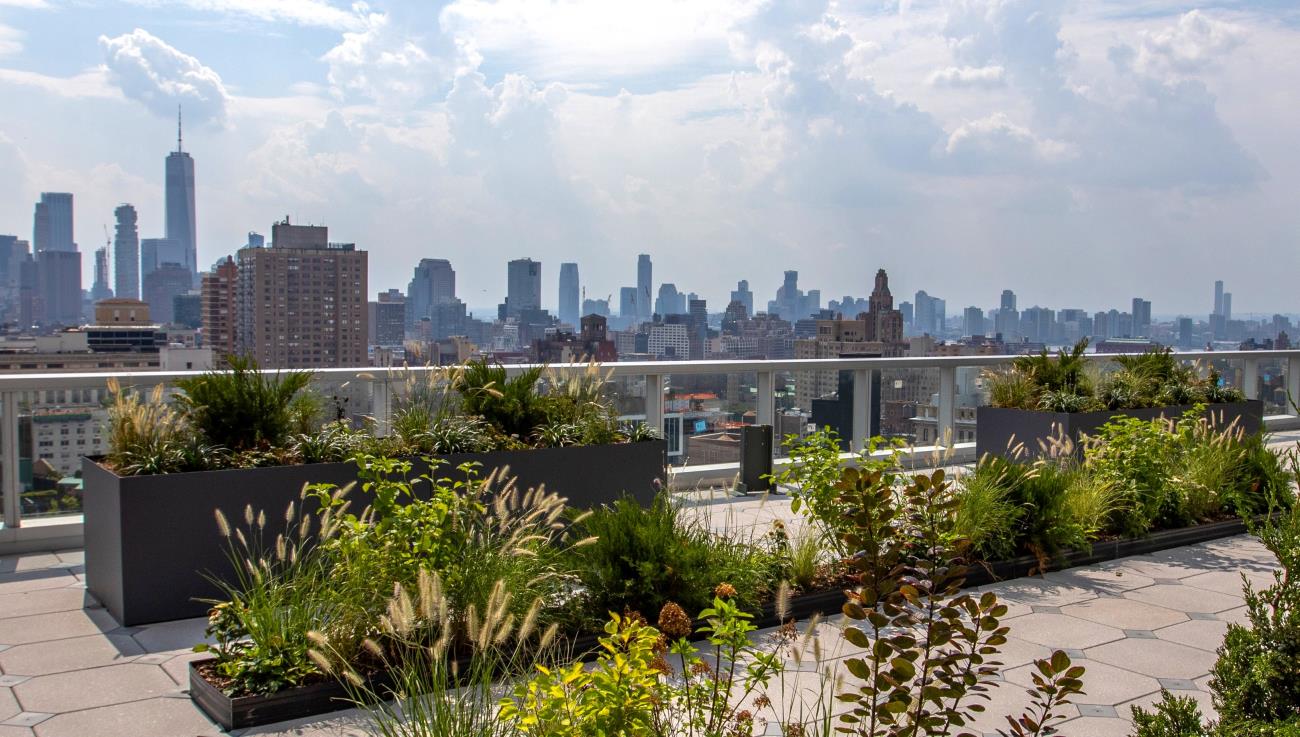 Madrid to New York: Cities, People, and the Power of Not Choosing One Style