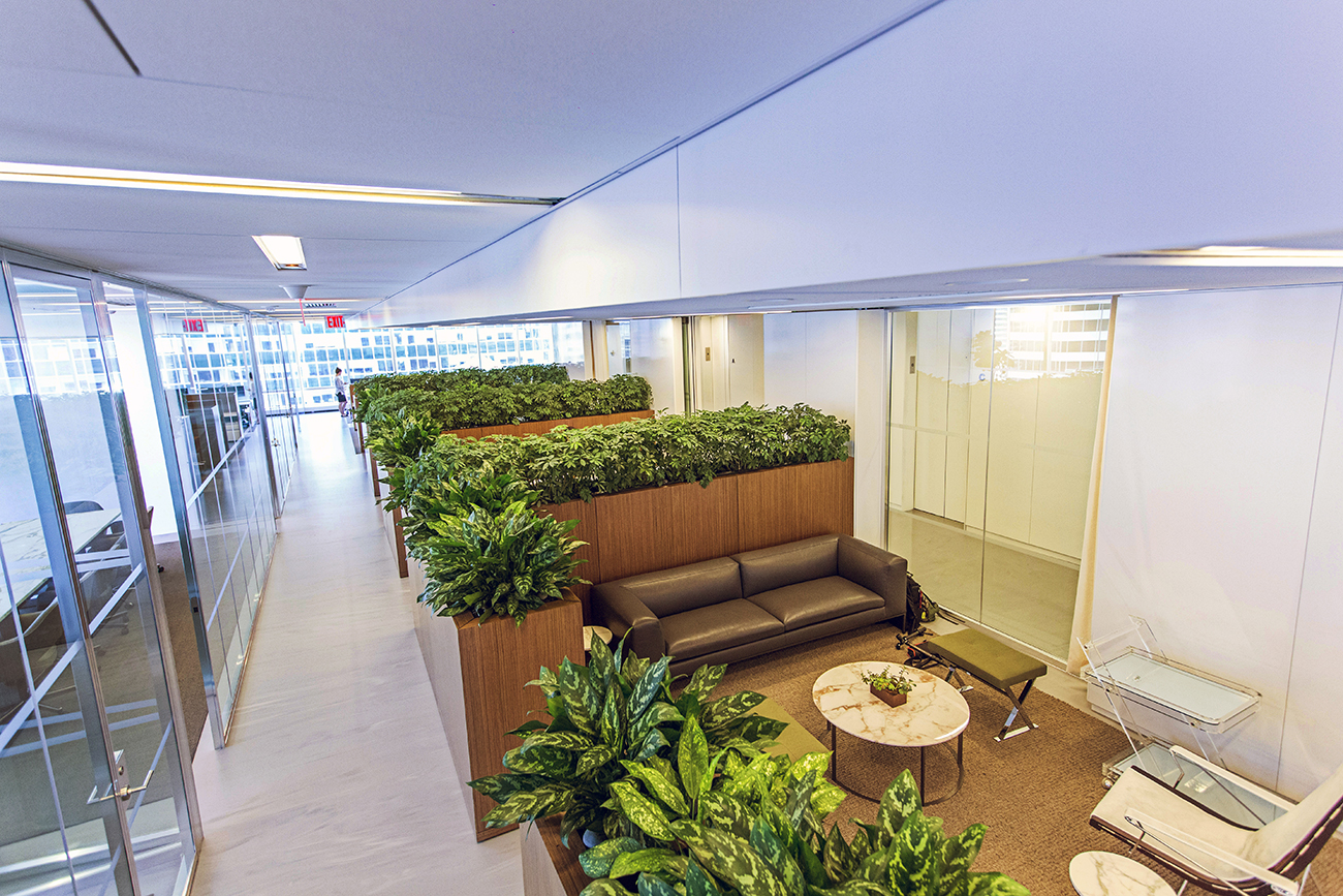 Midtown Manhattan office plant display