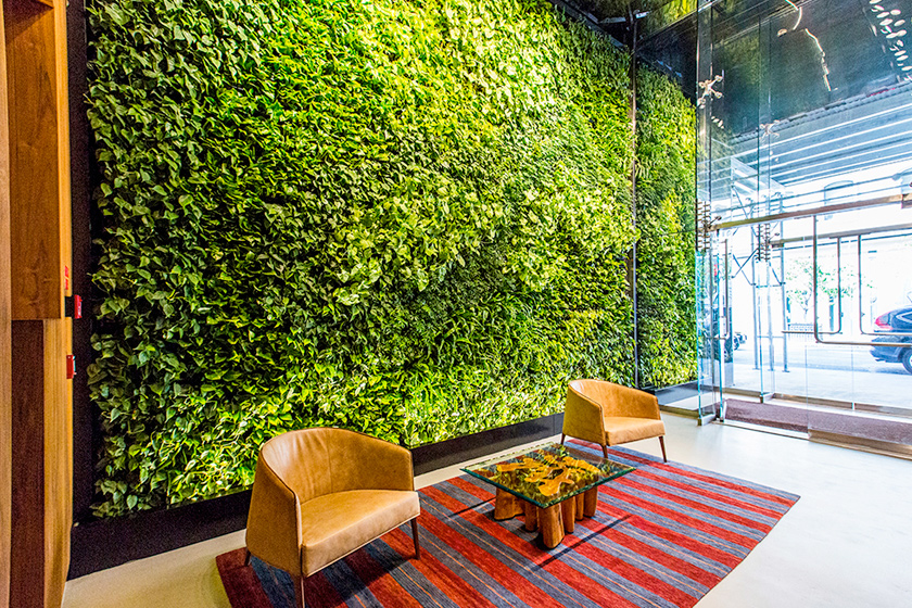 Downtown Living Wall