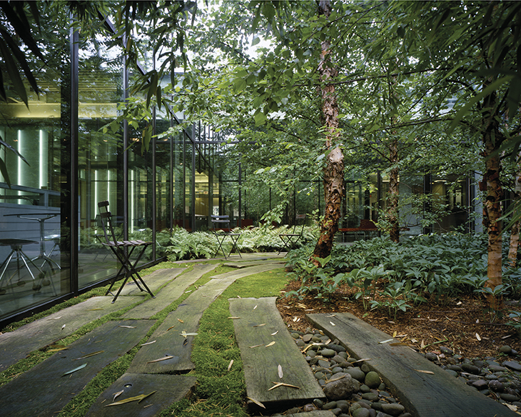Woodland Inspired Courtyard