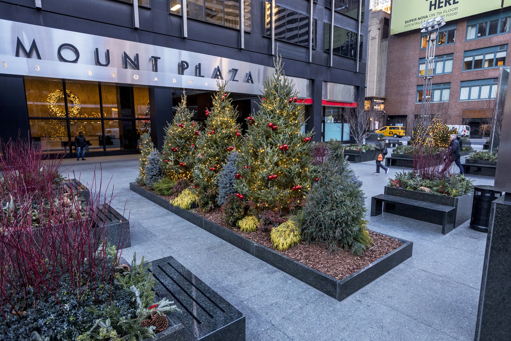 Outdoor Plaza Holiday Perfection
