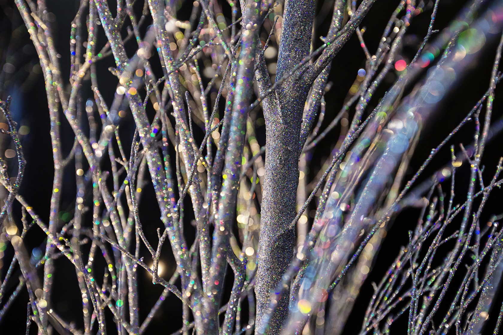 A contemporary display of sparkling birch in glass transports you to a northern forest during a winter frost.