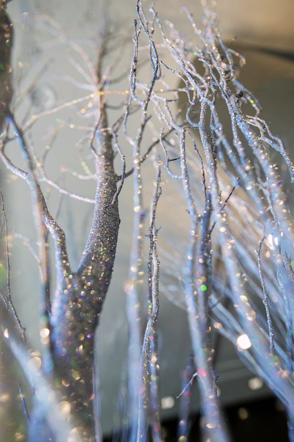 A contemporary display of sparkling birch in glass transports you to a northern forest during a winter frost.