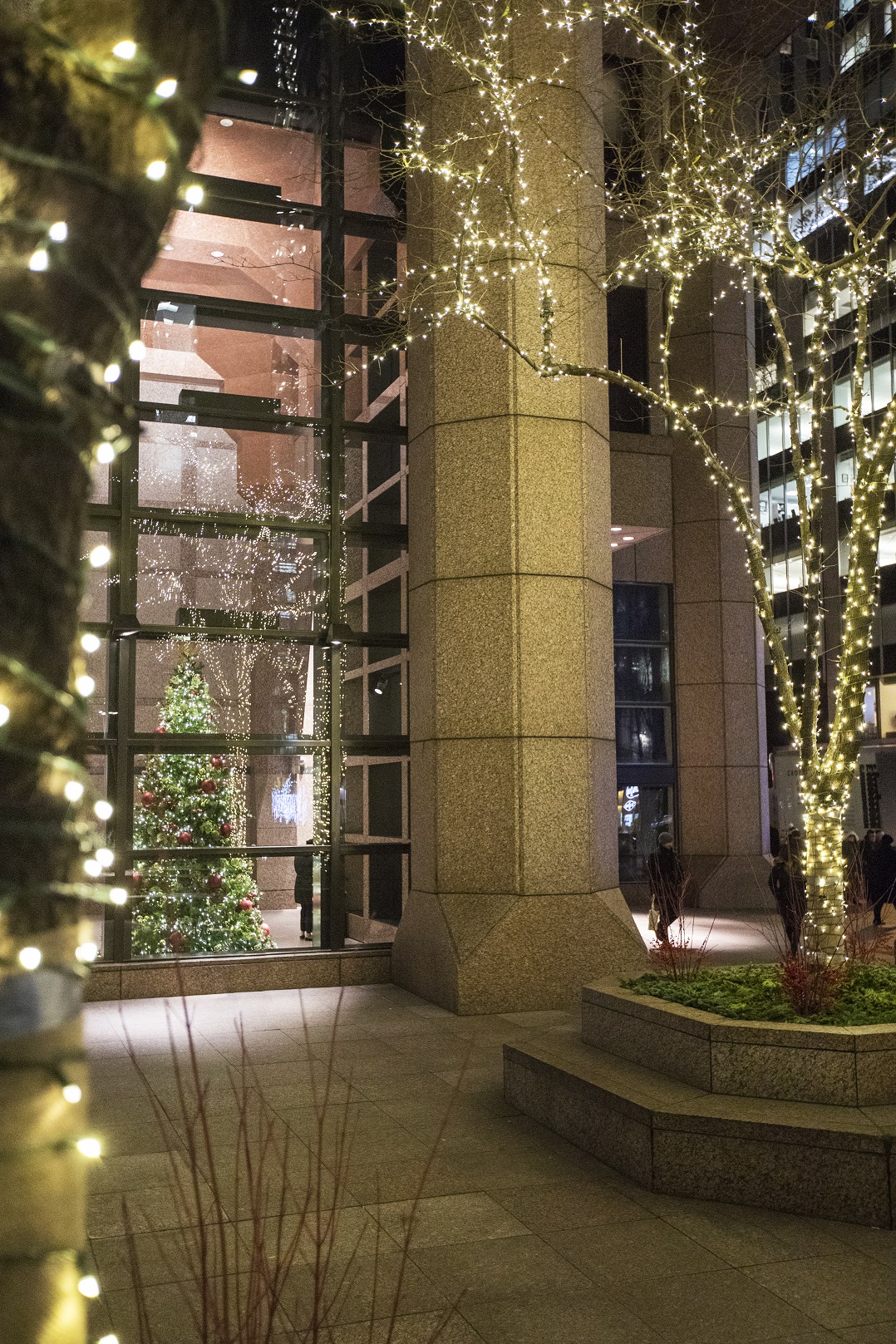 Warm LED lights paint this public plaza and are complemented with festive winter plantings