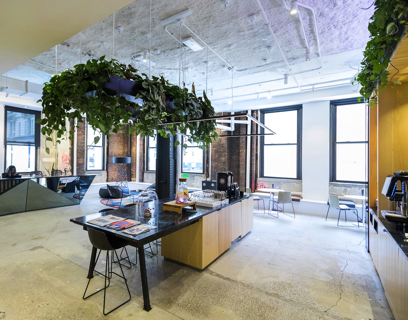 Suspended ceiling planters inspire fresh ideas in this collaborative environment.