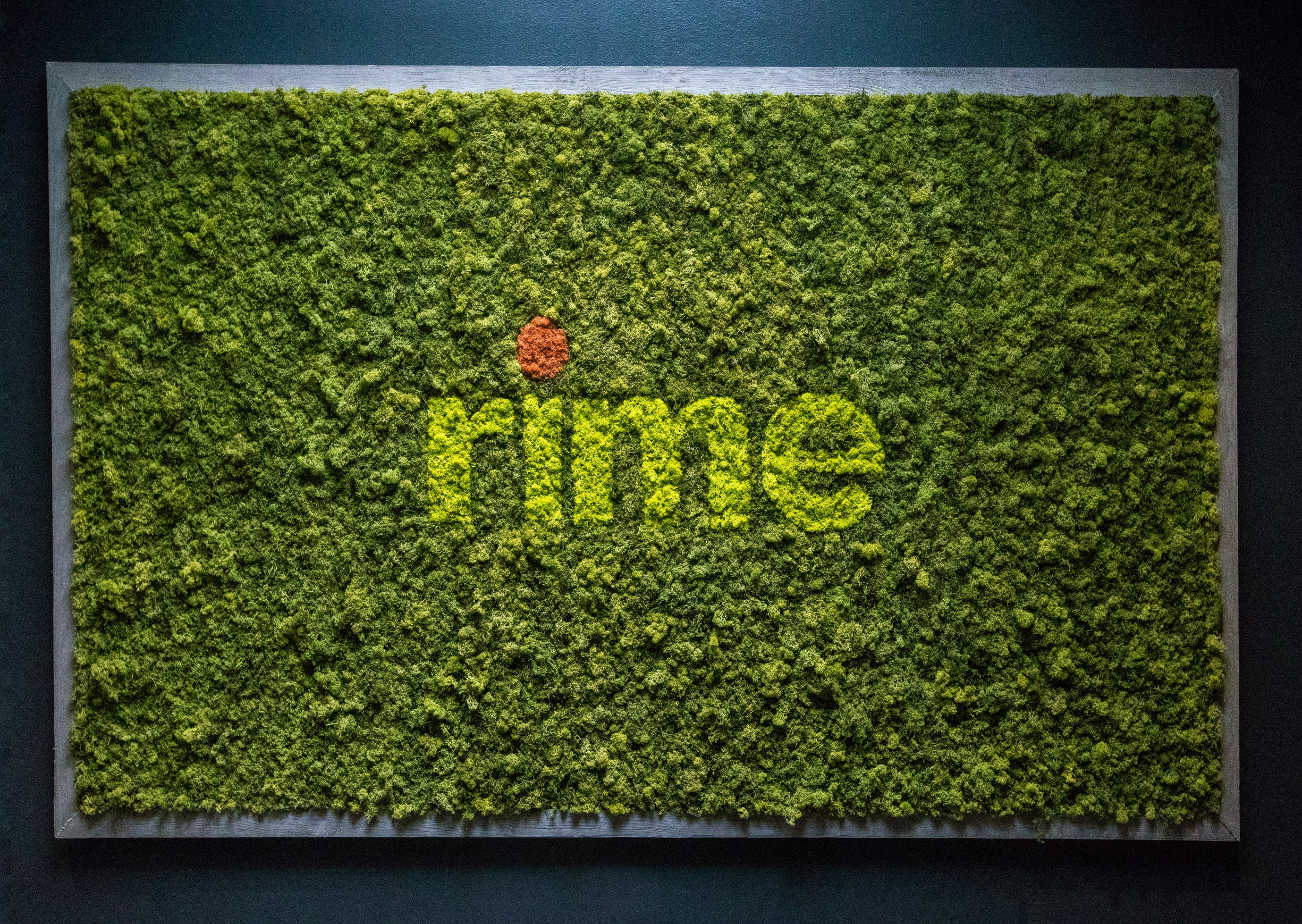 Incorporating the client's logo with contrasting shades of reindeer moss makes the letters pop against a textured background.