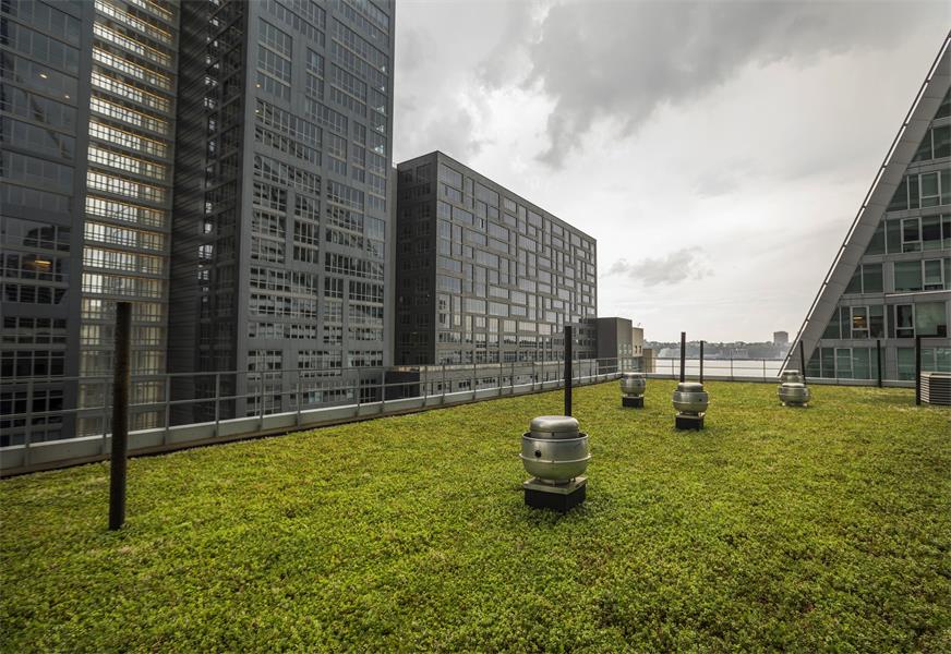 The minimalist green roof proves that a clean design can make a dramatic statement. The impact is in its' simplicity.