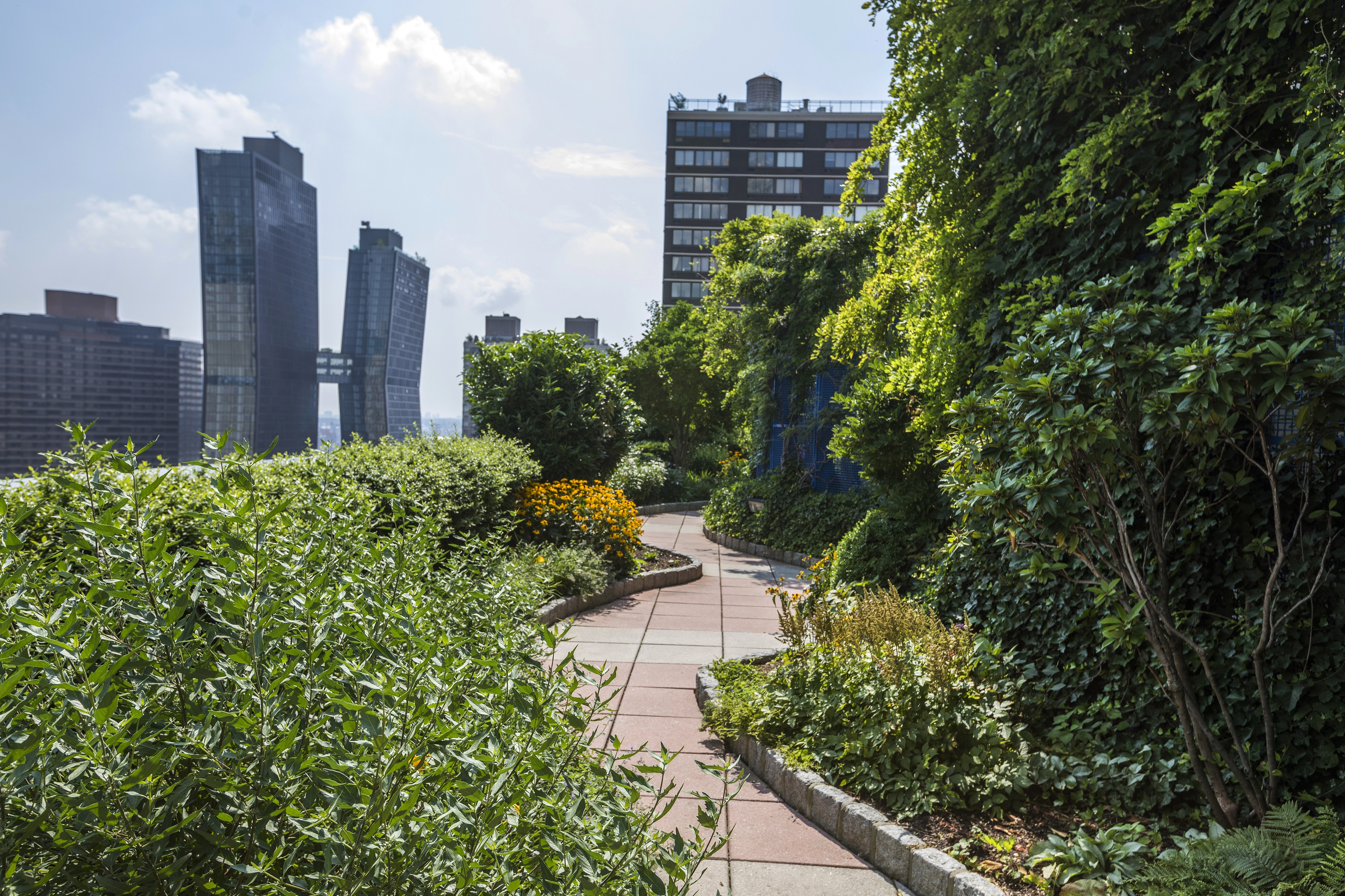 Get a bird’s eye view as you wind your way through the path of this endless rooftop garden sanctuary.