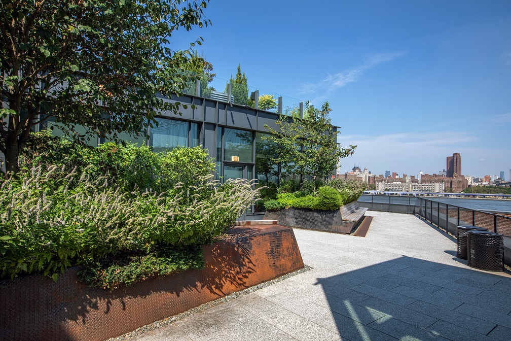 A mix of specimen trees and perennial plantings create a lush frame to highlight the spectacular views of the Brooklyn Bridge
