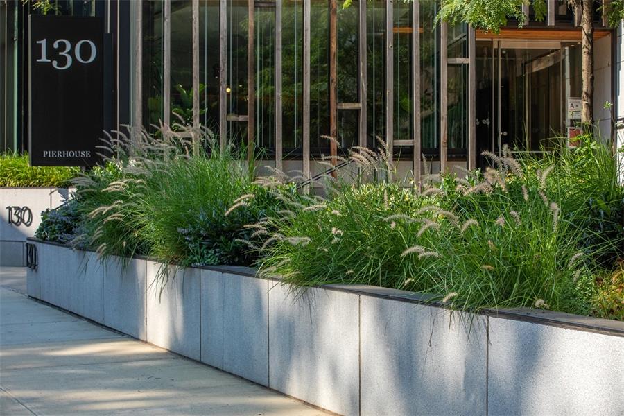The entrance planters for this high-end residential building in Brooklyn thrive under John Mini's expert care.