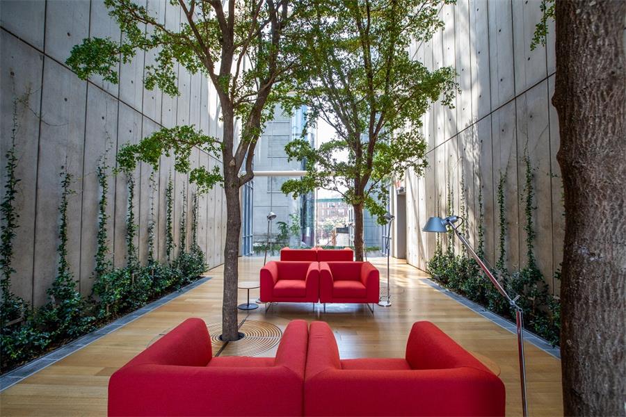 Climbing ivy combined with soaring trees create a quiet retreat in lower Manhattan, creating e a hidden gem.