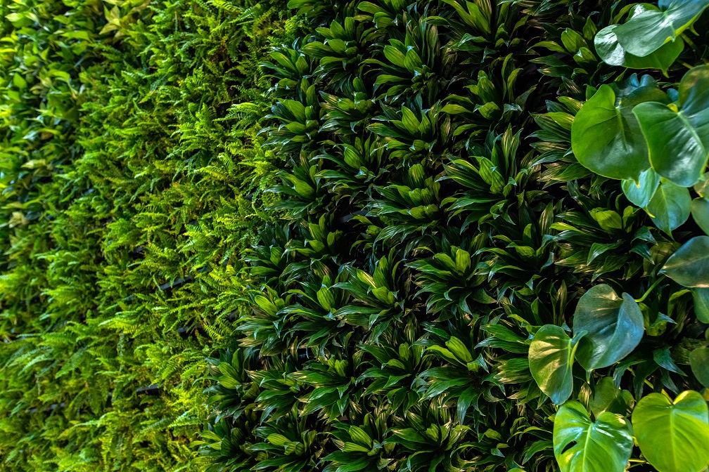NYC's largest living wall takes on epic proportions with an endless sea of greens that will have you gazing in awe.