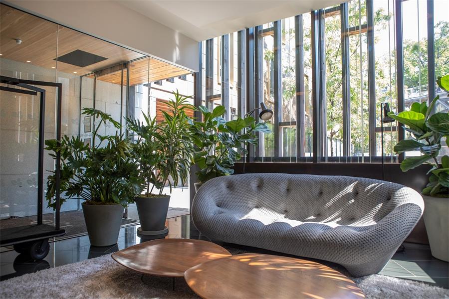 Large flourishing plants provide a strong sense of place for the residents of this Brooklyn condominium.