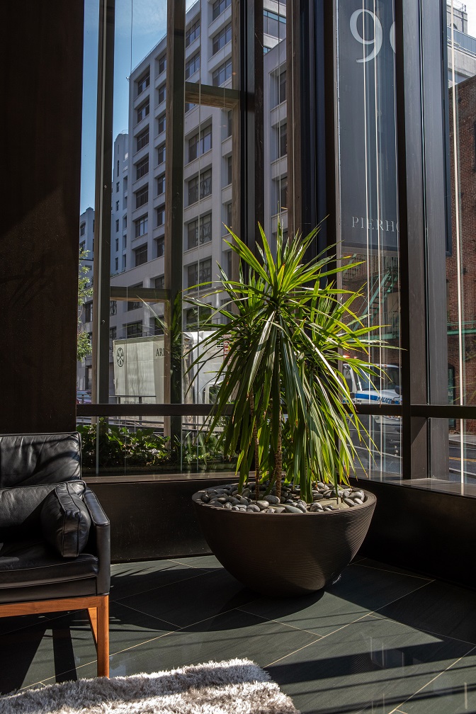 Large flourishing plants provide a strong sense of place for the residents of this Brooklyn condominium.