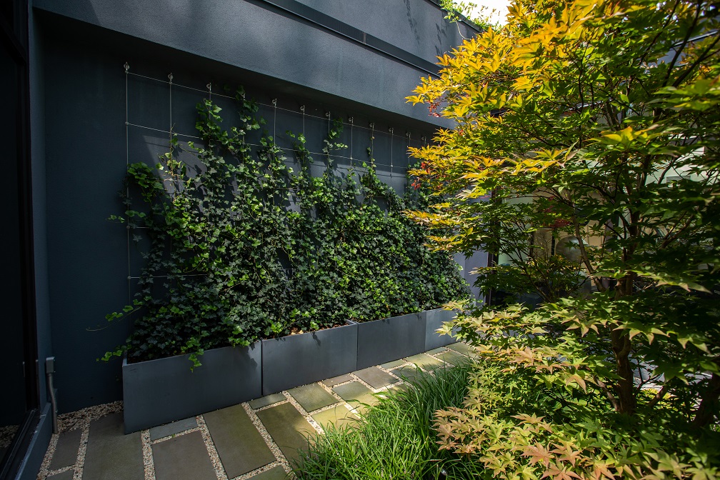 The landscaped spaces of this spectacular residential building in Queens include a peaceful courtyard flanked by an ivy wall