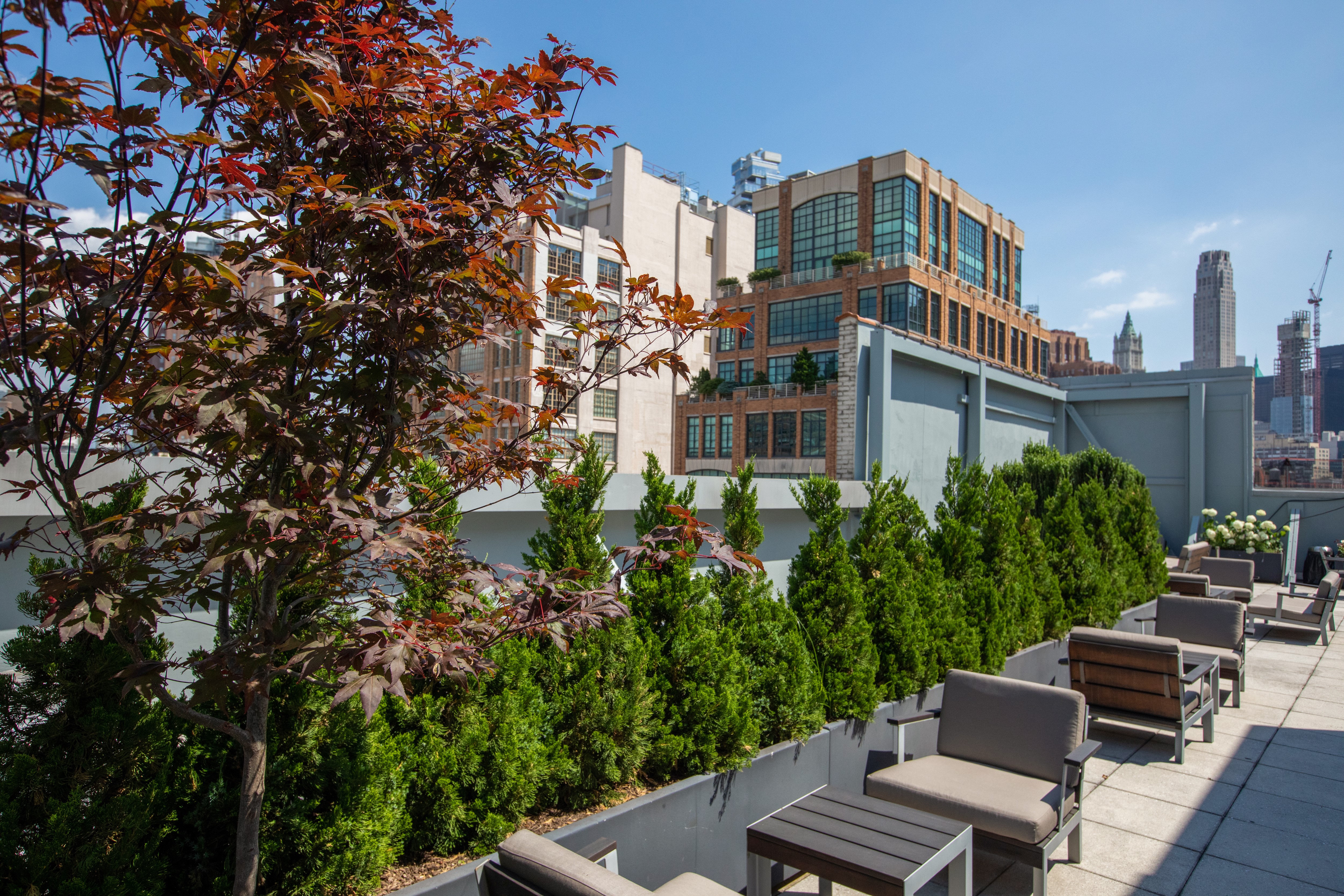 The rooftop becomes a canvas of tranquility, where a symphony of plants harmonizes with the bustling city below.