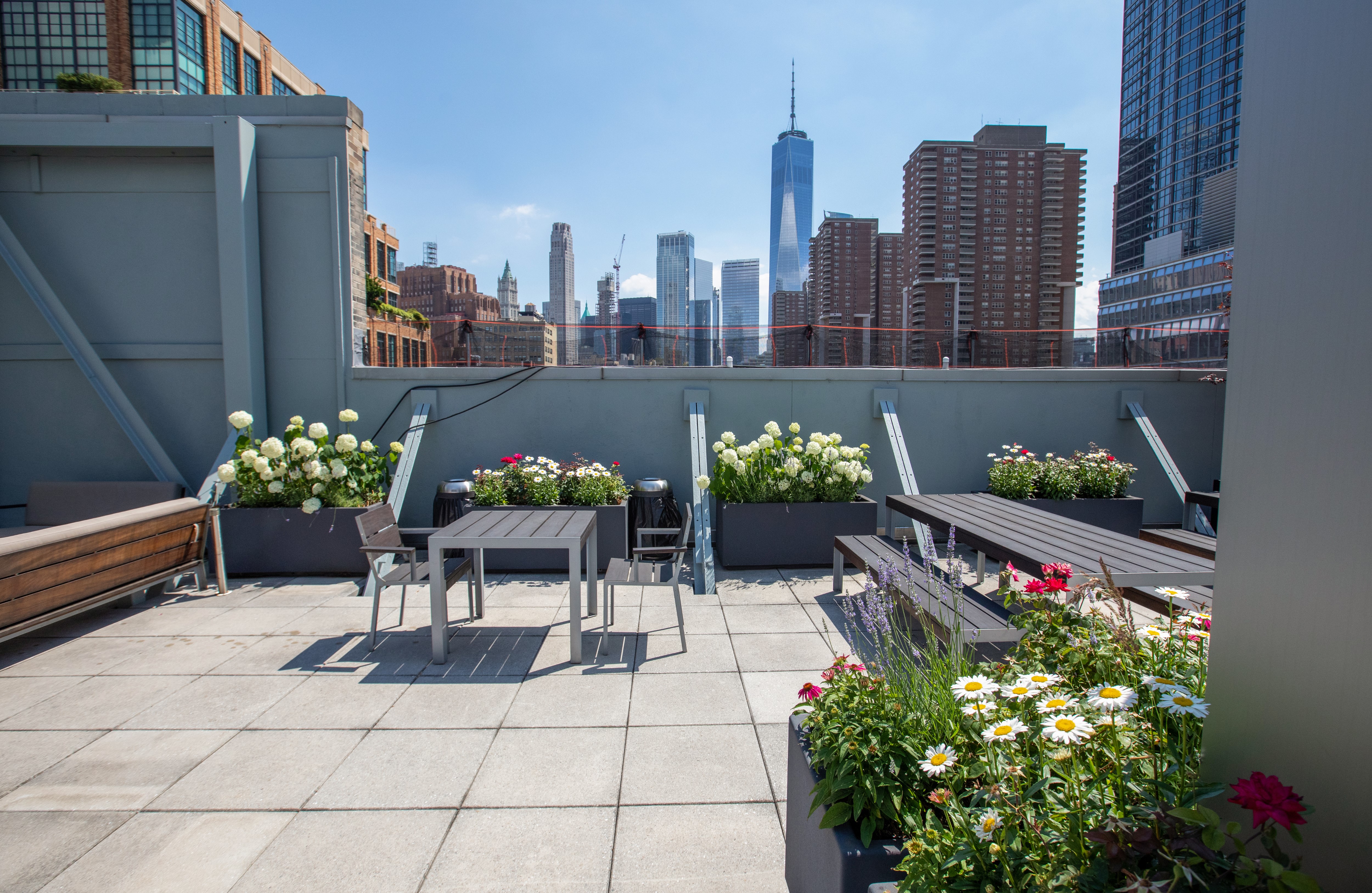 The rooftop becomes a canvas of tranquility, where a symphony of plants harmonizes with the bustling city below.