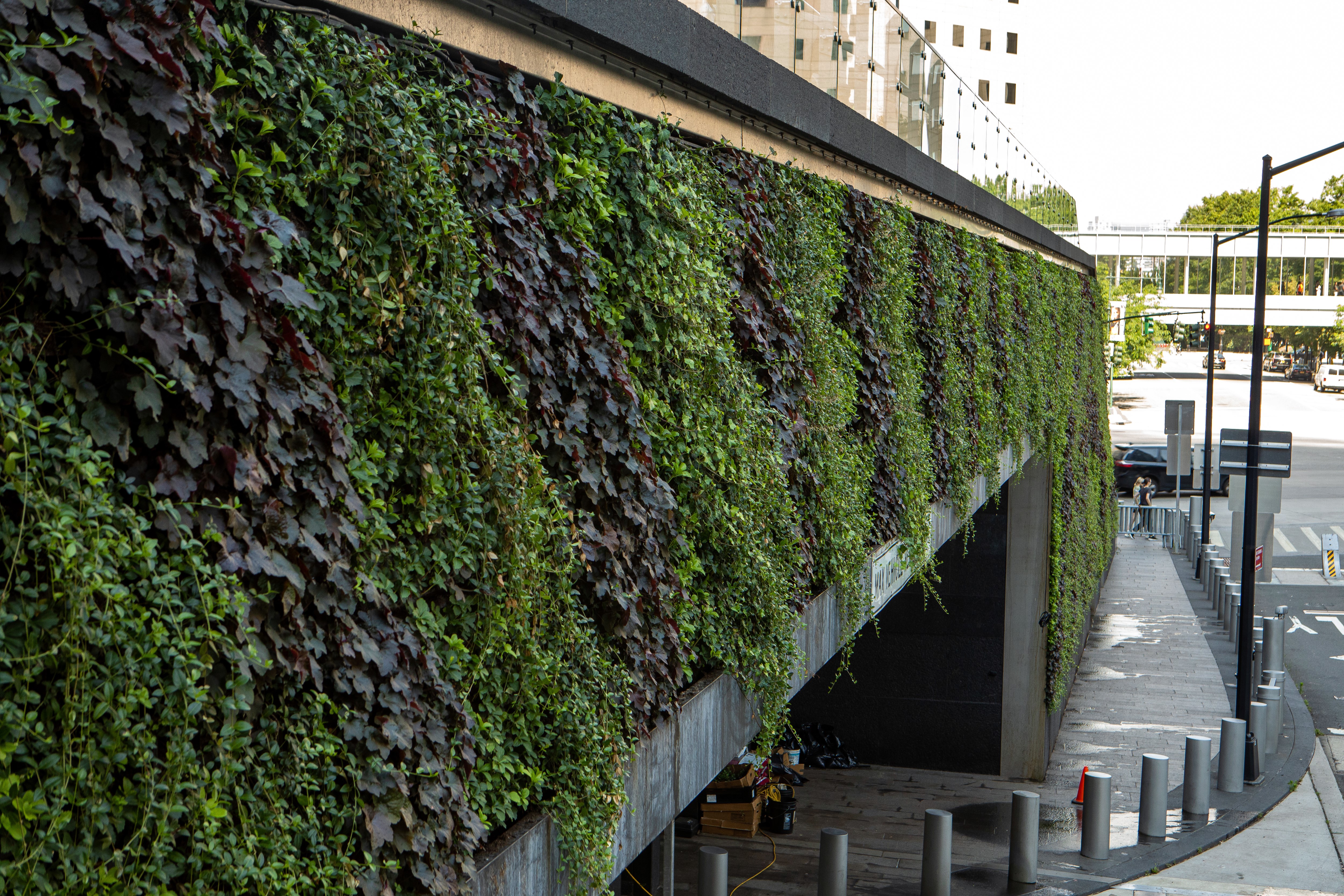 the lush foliage of the green wall intertwines with the architecture, infusing life and serenity into the heart of the city.