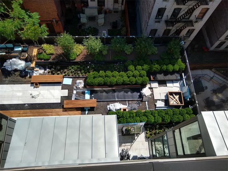 Unlike any other school in NYC, a private school in the heart of Gramercy Park envisioned and created an outdoor space.